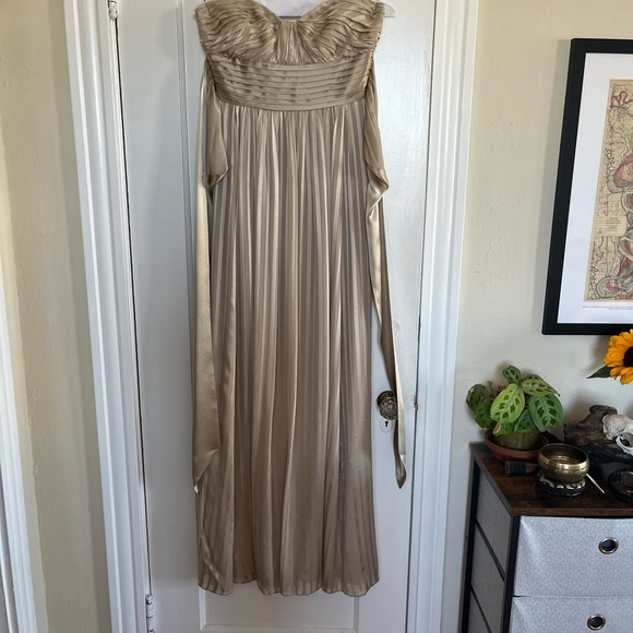 BCBG Maxazria Chiffon champagne floor length dress size 2 - Picture 2 of 8
